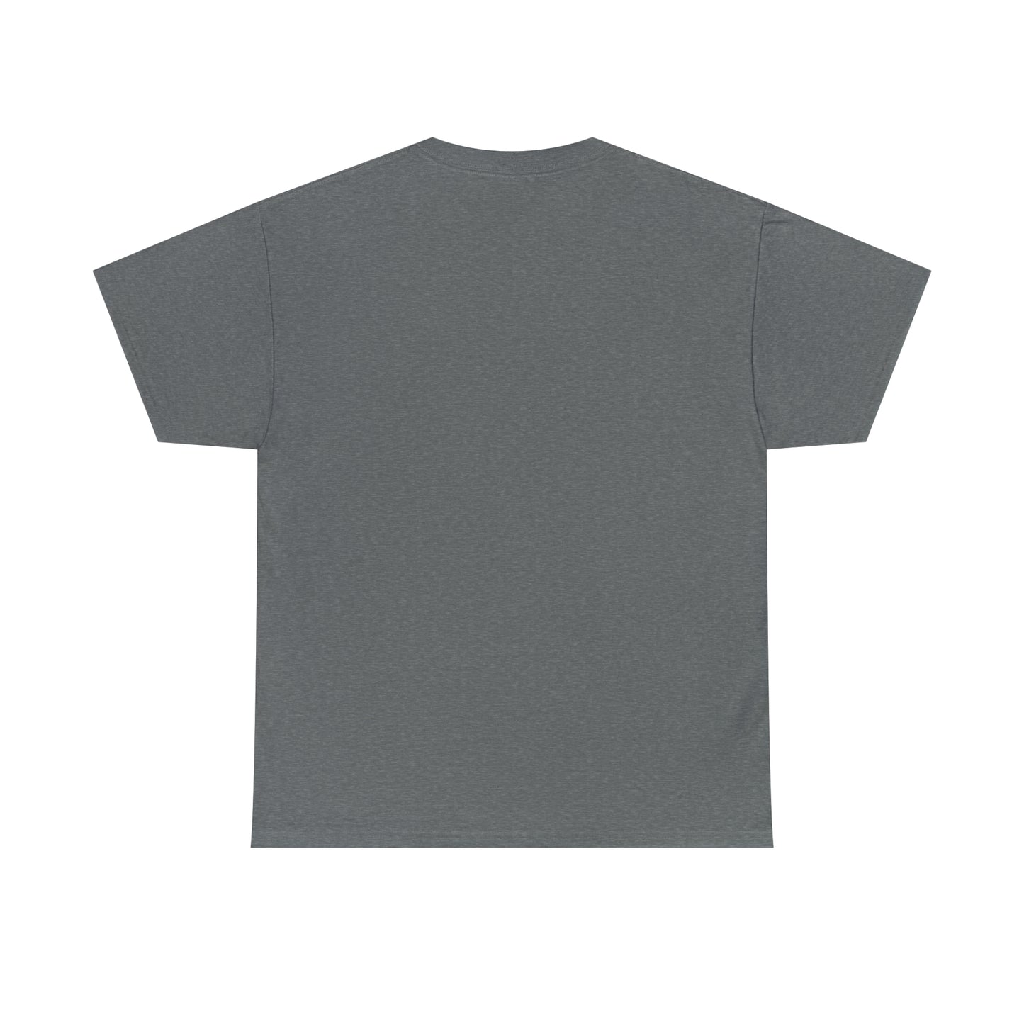 The Conscious Daughters Heavy Cotton Tee