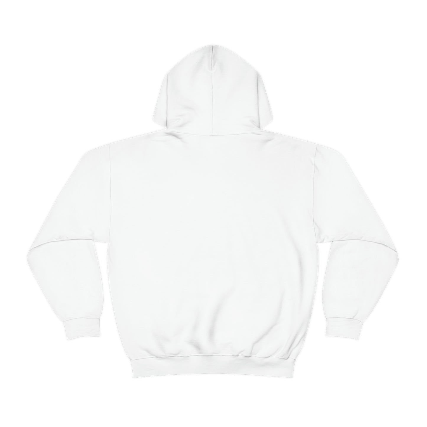 Conscious Daughters Heavy Blend™ Hooded Sweatshirt
